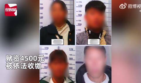 女子打麻将被“三吃一” 找警察评理：赌资被依法收缴，并罚款500元