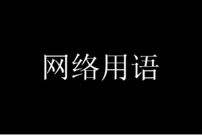 ts什么网络含义(ts局什么网络含义)